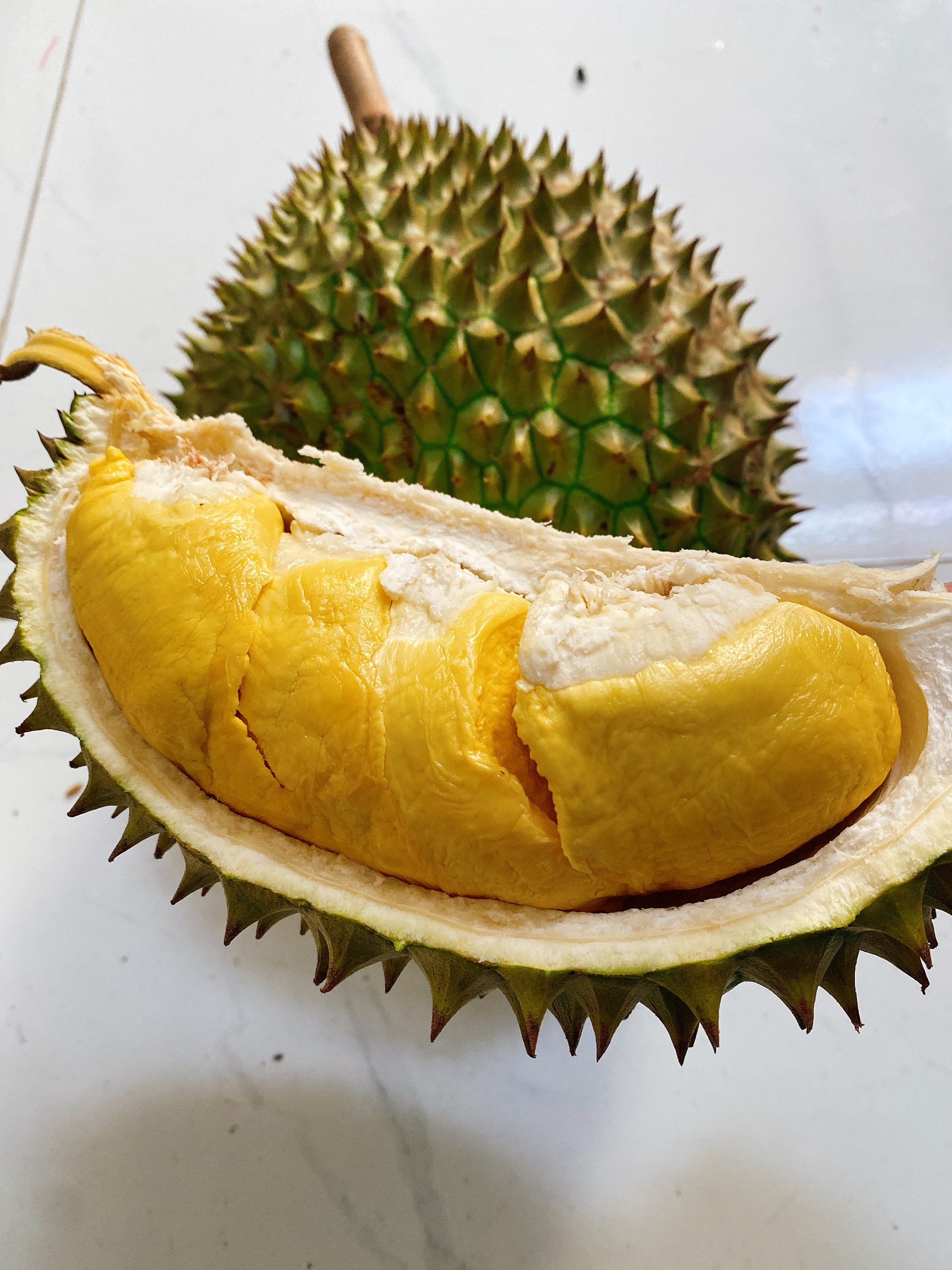 Product Info Image 1